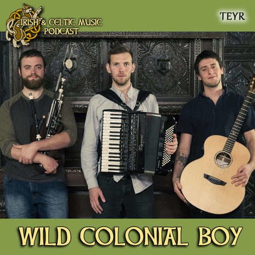 Wild Colonial Boy #504