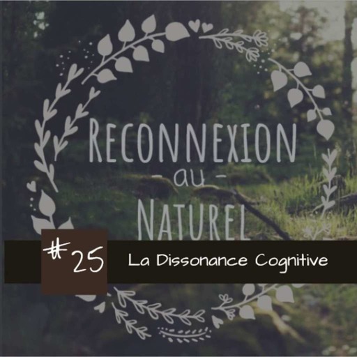 #25 la dissonance cognitive
