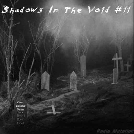 Shadows In The Void #11