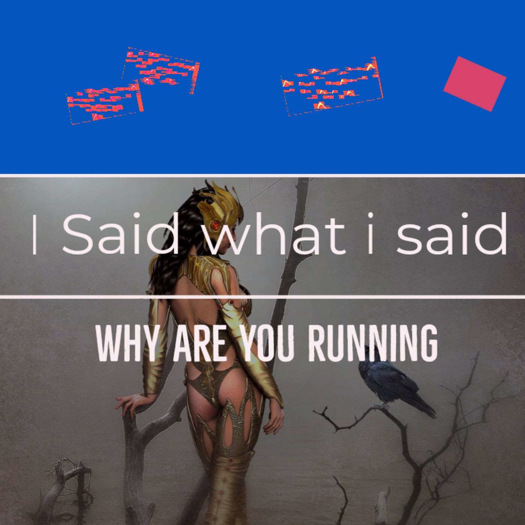 I SAID WHAT I SAID - WHY ARE YOU RUNNING