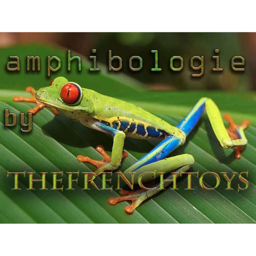 Amphibologie by The French Toys