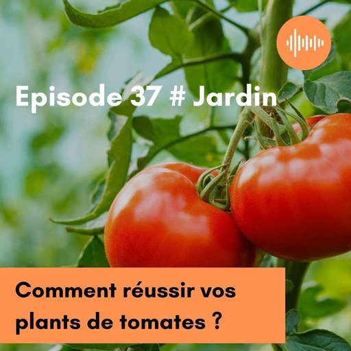 Podcast 37 // Comment réussir vos plants de tomates ? 
