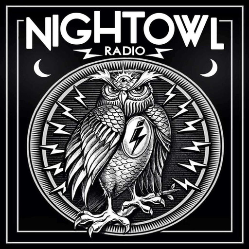 Night Owl Radio #355 ft. Paul van Dyk and Infected Mushroom