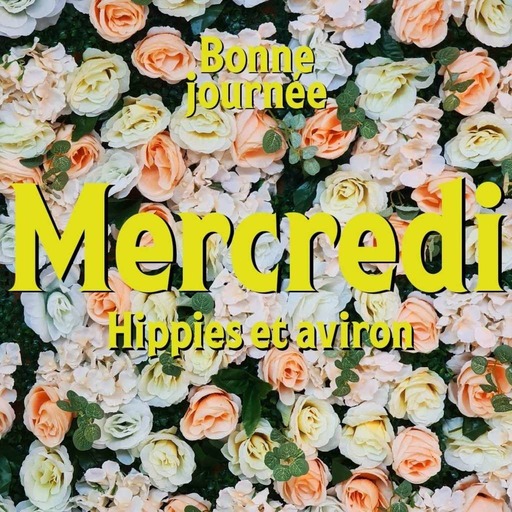 S03E03 - Mercredi : Hippies et aviron