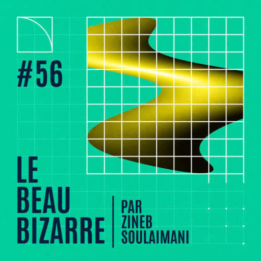 Le Beau Bizarre #56 avec Sofiane Ouissi