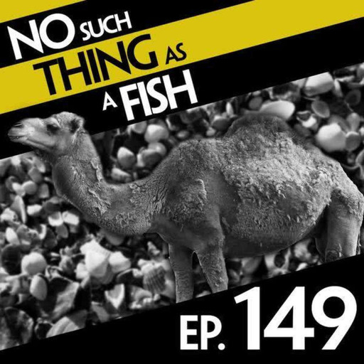 149: No Such Thing As The Train King Of Europe