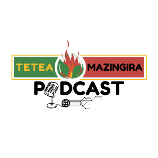 17. Industrialisation du secteur minier à Bisié à Walikale, aperçu sur le rapport de la Dynamique des Femmes des Mines DYFEM dans Tetea Mazingira Podcast
