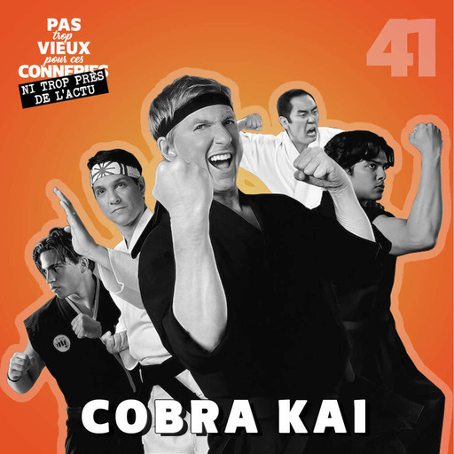 Pas trop vieux 41 | Cobra Kai (2018 - ...)