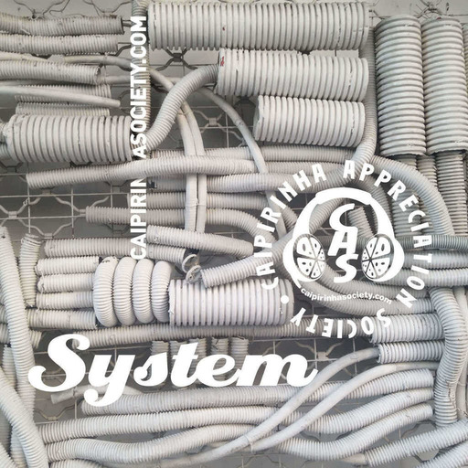 CAS 403 | System