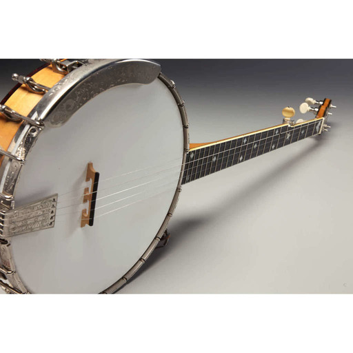 African Roots of the Banjo