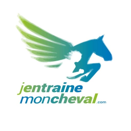 22- Digne d'un film : Cheville & Championnats- Jean Philippe FRANCES