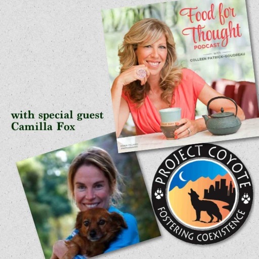 Co-Existing with Carnivores: A Conversation with Camilla Fox (Project Coyote)