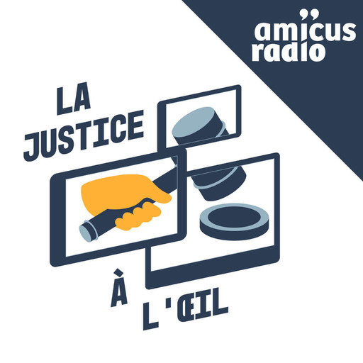 La justice au cinéma par Thibault de Ravel d’Esclapon | Le système judiciaire étasunien : le jury (2/3)