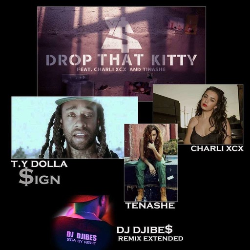Ty Dolla $ign - Drop That Kitty feat. Charli XCX and Tinashe DJ DJIBES Remix Extended