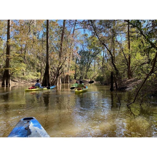Kayaking the Honey Island Swamp - Episode #125
