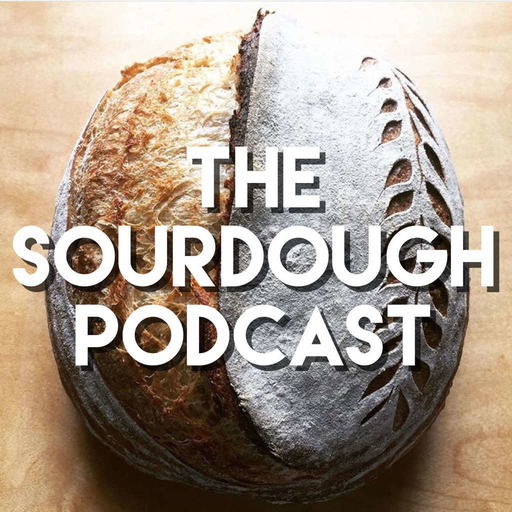 Weston Perry, Musician Behind The Sourdough Podcast