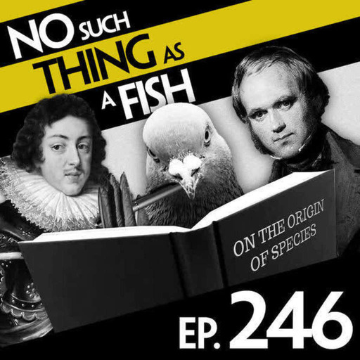 246: No Such Thing As The Worm Revolution