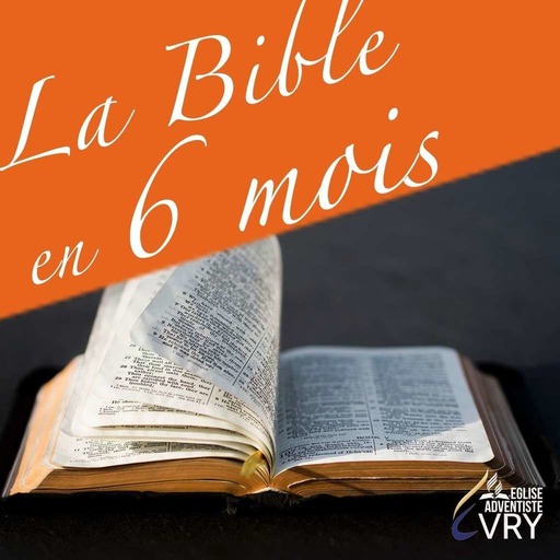 LA BIBLE EN 6 MOIS episode 4 : Job 14 - 20