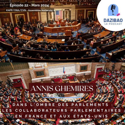 Épisode 22 : Annis - Dans l'ombre des Parlements : les collaborateurs parlementaires en France et aux États-Unis
