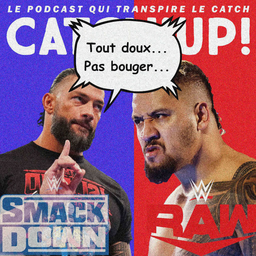 Super Catch'up! WWE Smackdown + Raw du 6/9 janvier 2023 — Perte de contrôle !