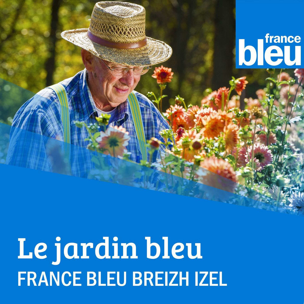 Le Jardin Bleu FB Breizh Izel