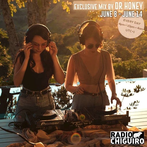 Chiguiro Mix #096 - Dr. Honey
