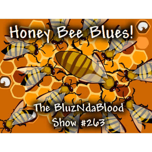 The BluzNdaBlood Show #263, Honey Bee Blues!